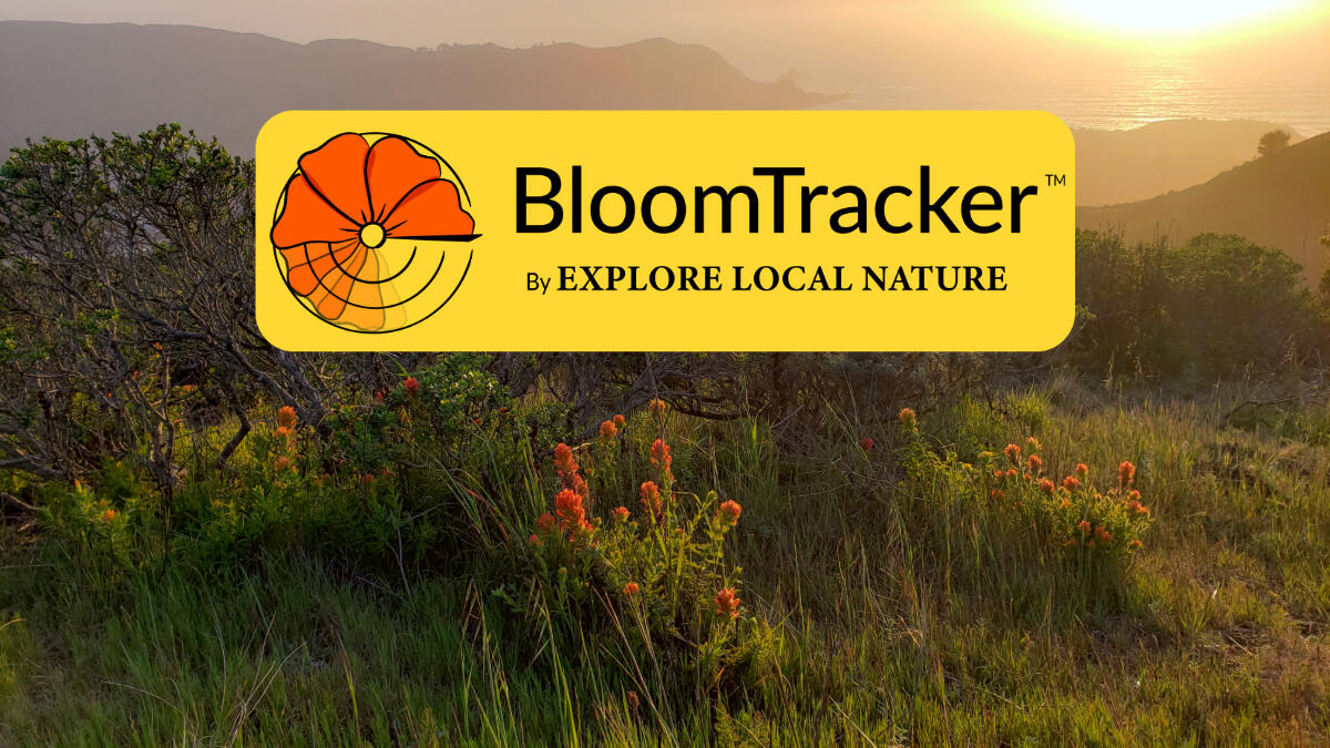 BloomTracker by Explore Local Nature BloomTracker by Explore Local Nature logo over photo of wildflowers.
